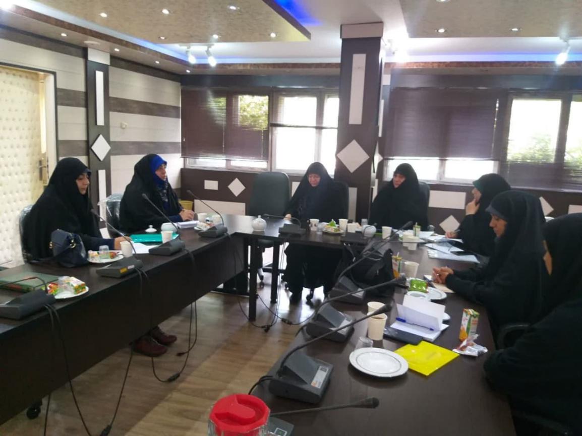 نشست هم اندیشی مسئولین خواهر